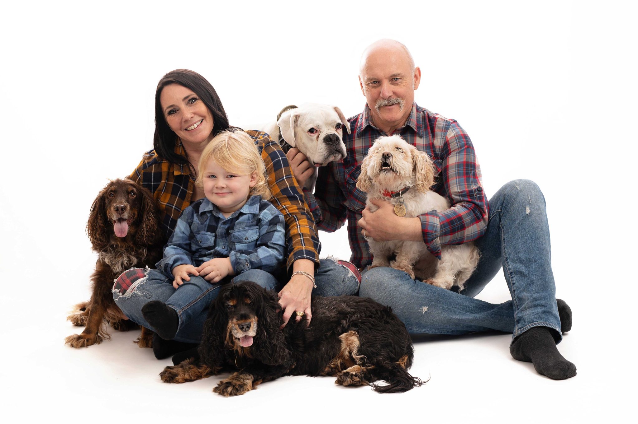 Pet Photography Pet Photography