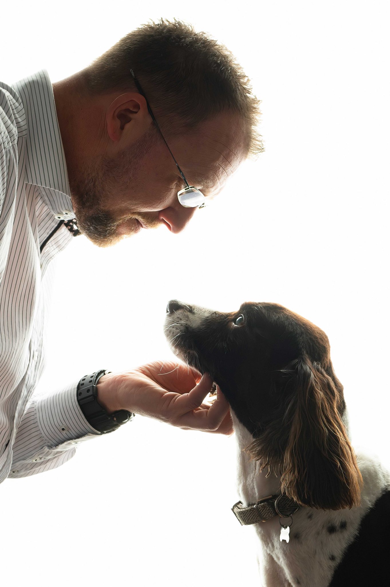 Pet Photography Pet Photography