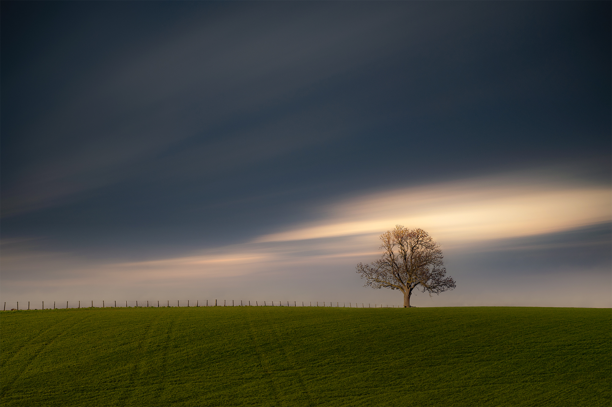 Alone On A Hill Final database