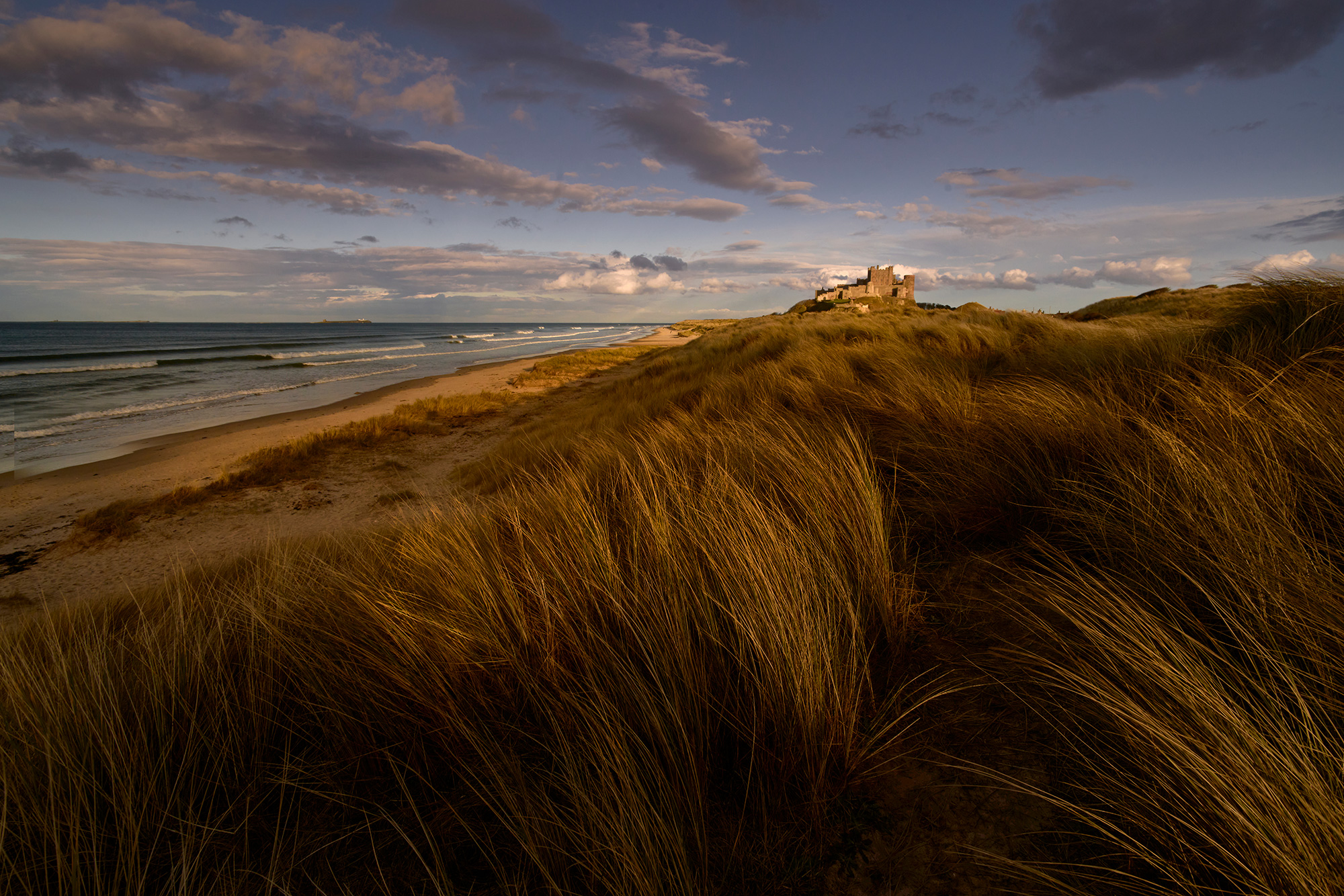 Bamburgh Castle Sand Dunes Landscape PG