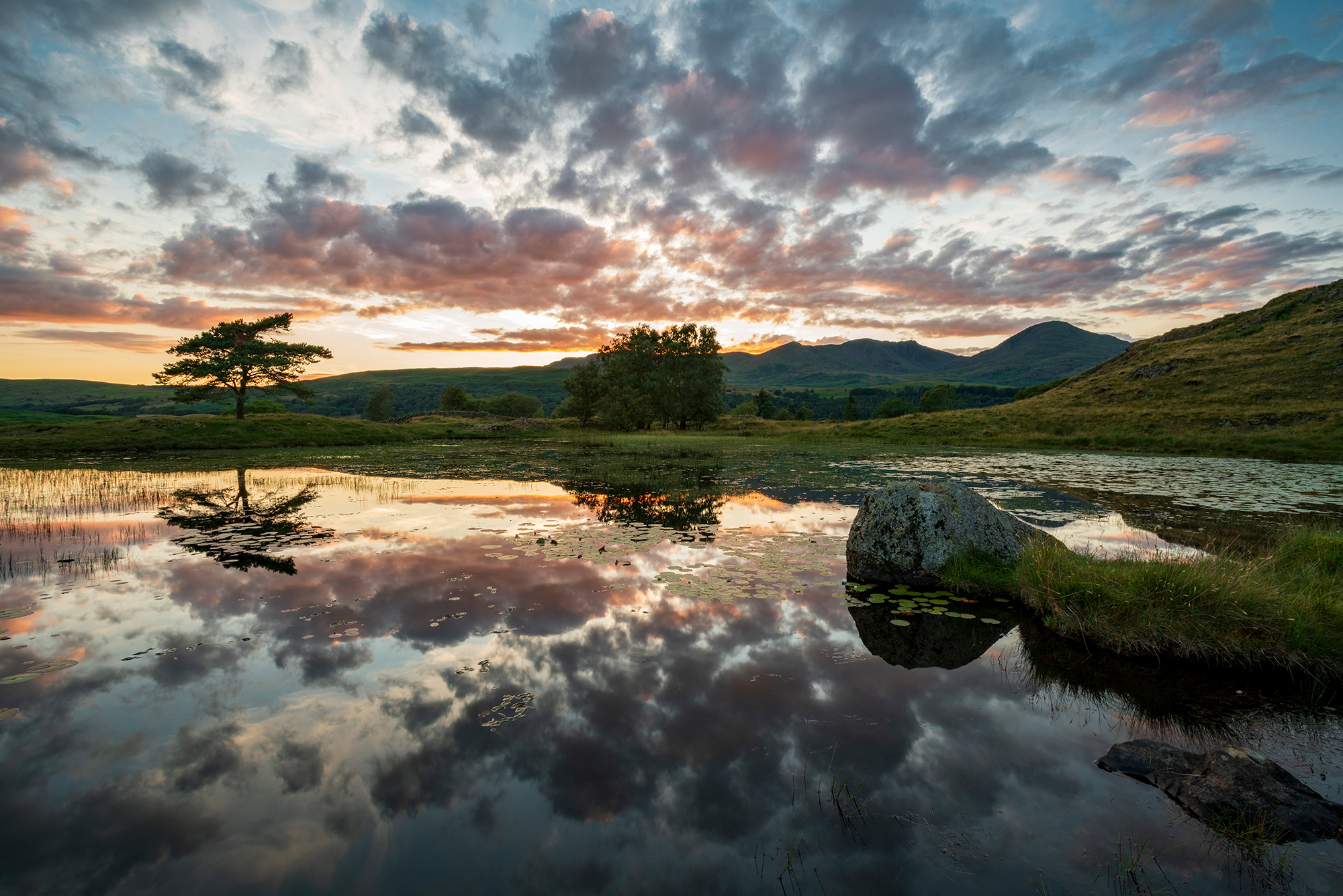 Kelly Hall Tarn
