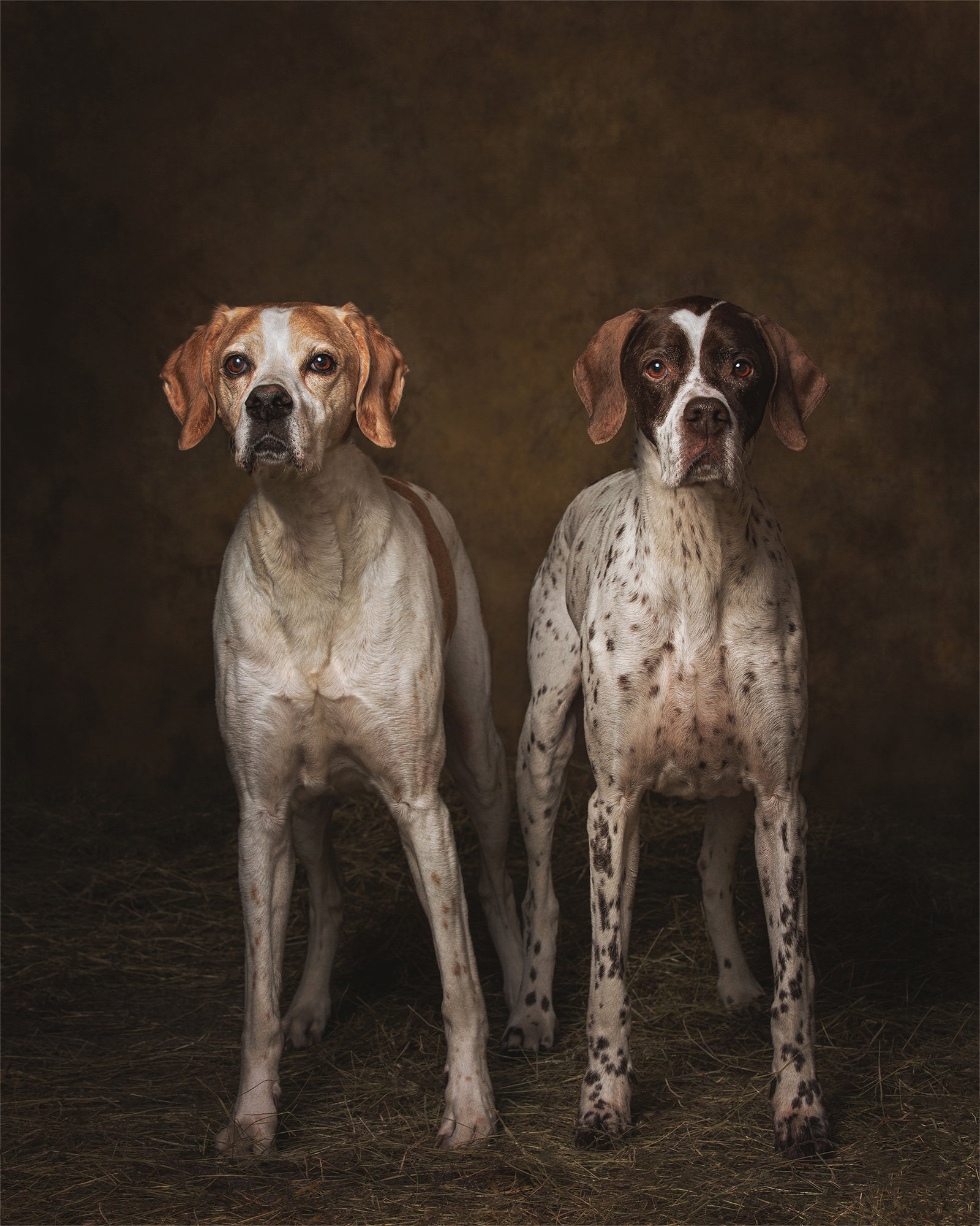 Pointer Sisters large