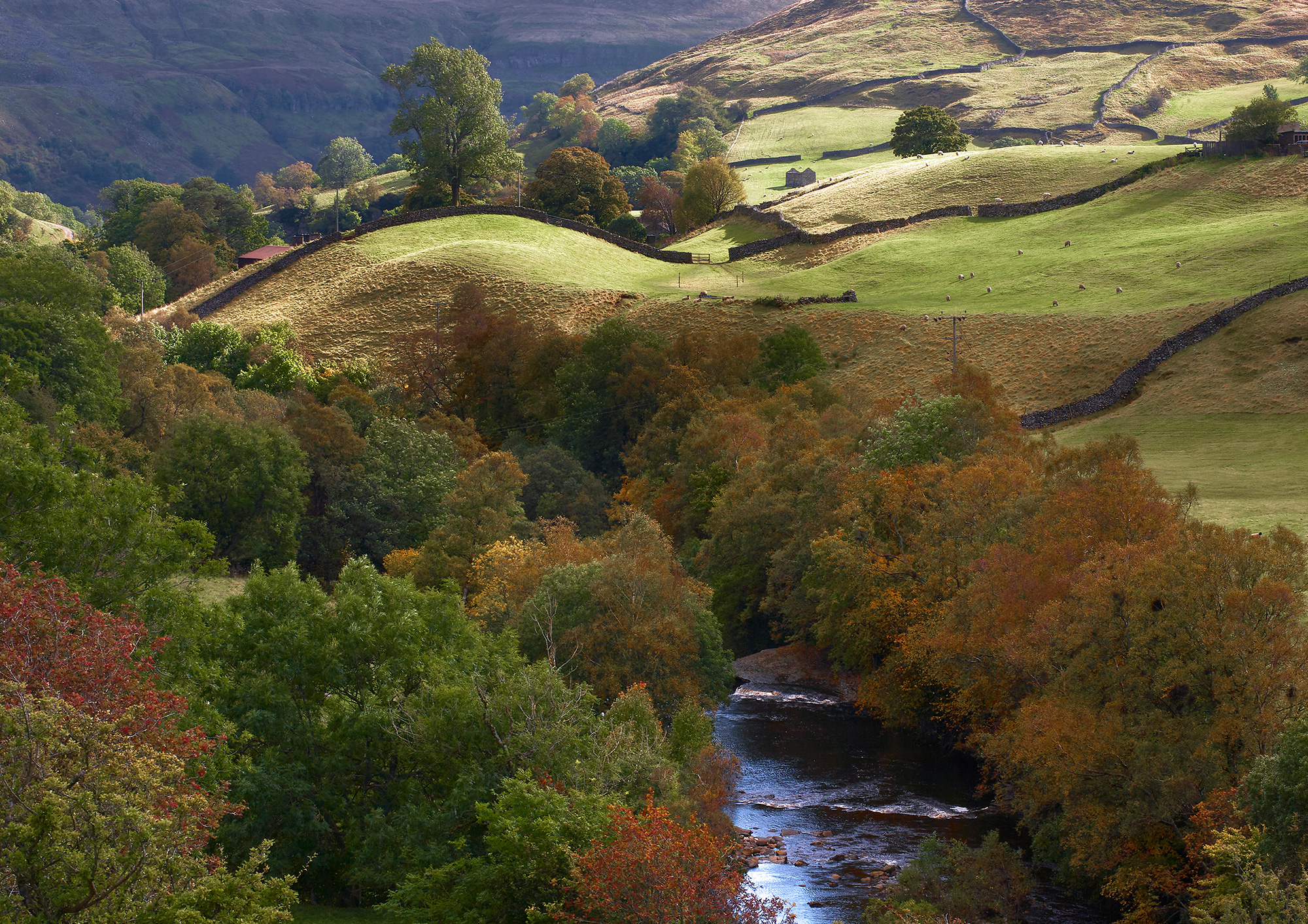 Silvertop Hill Swaledale