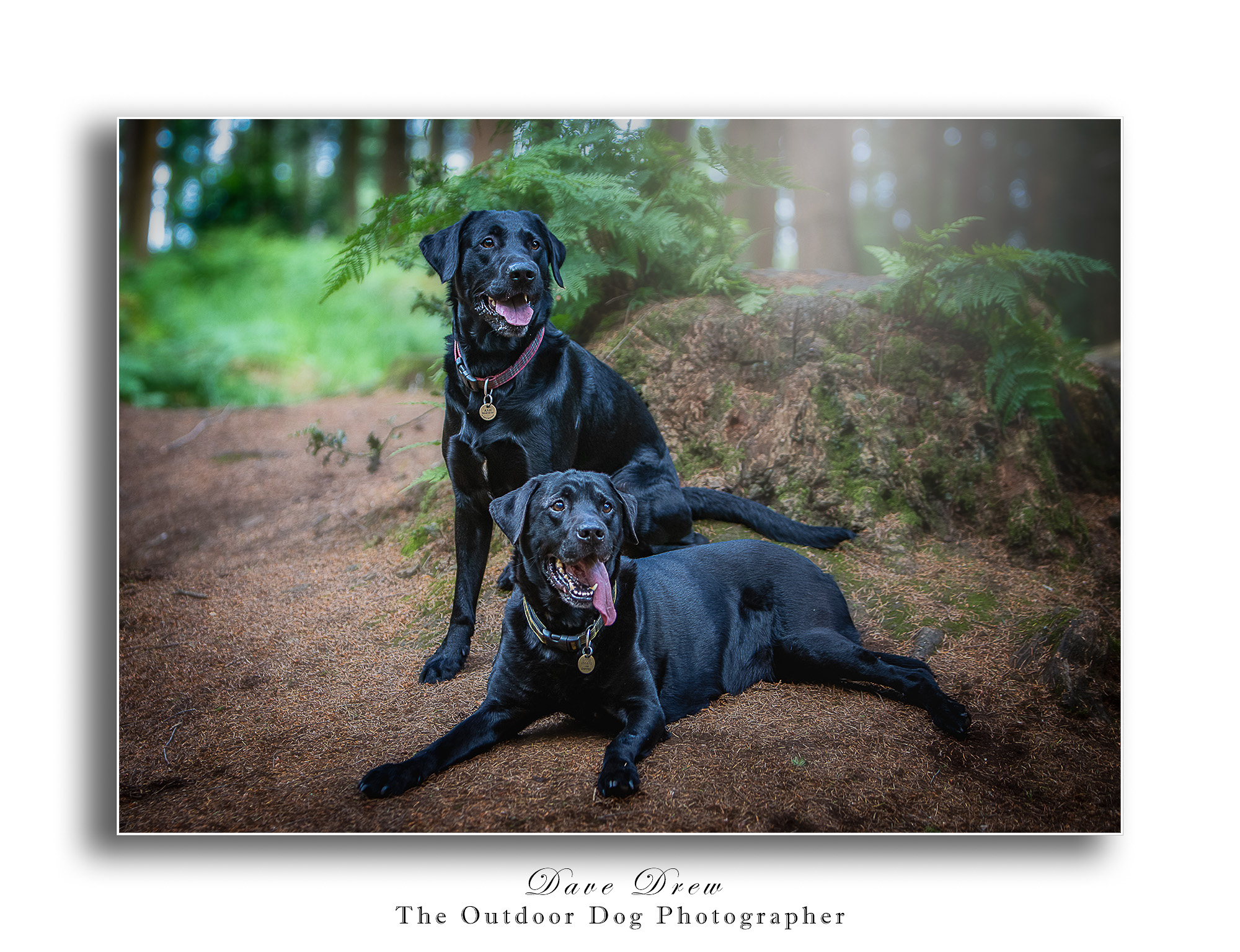 Theo and Ash 001